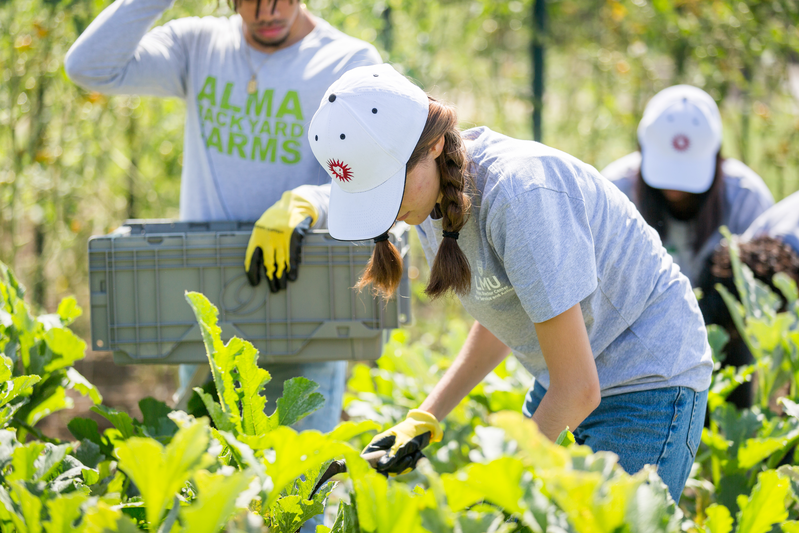 LMU-ServeLA-Alma-Farms-2022-1581